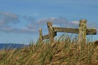 2009-06-14_Marin_County_0008.jpg