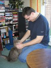 Ian Petting Misty